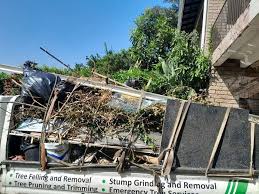 Best Yard Waste Removal  in Galena, IL